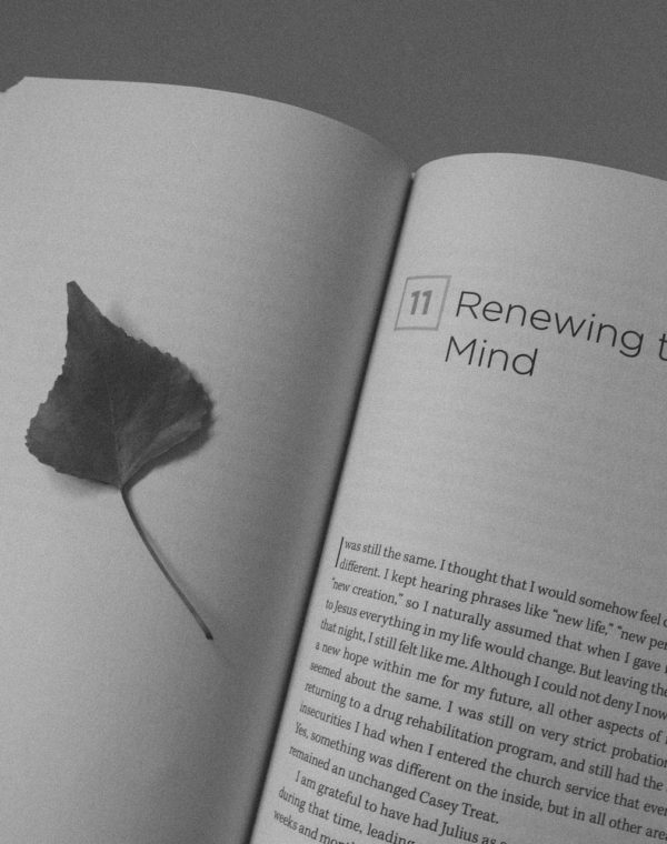 renew your mind book